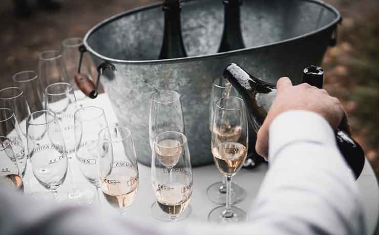 rheingau-events-wein