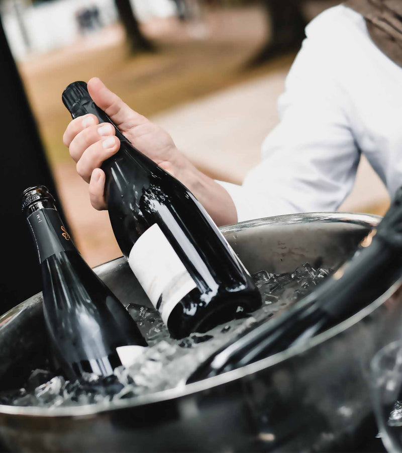 schaumweintasting-kuehler