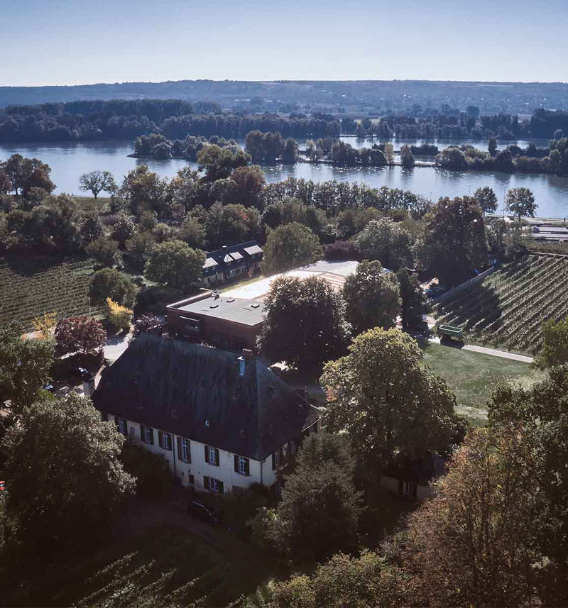 edelbeef-knyphausen-rheingau-weingut