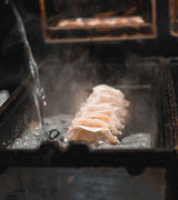 gyoza-factory-frankfurt-gyozas