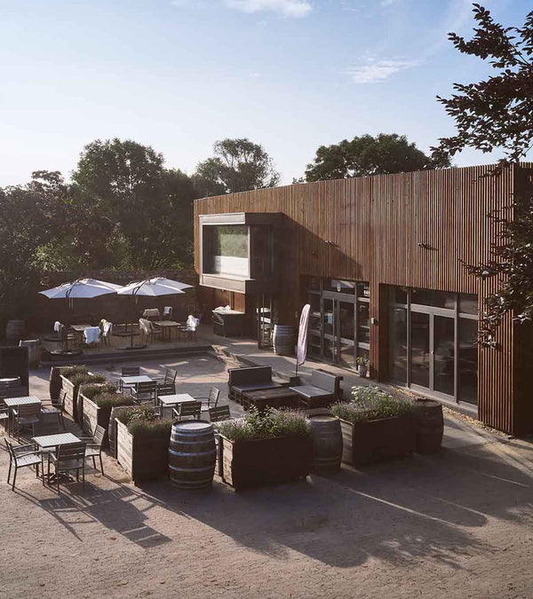 knyphausen-rheingau-weinlounge