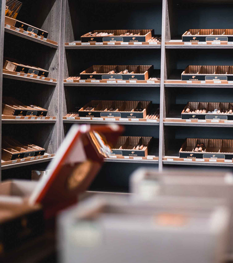 vabajo-frankfurt-humidor
