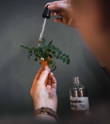 wildpflanzensalon-oel-auf-krauter